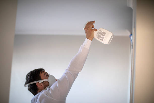Best Mold Cleaning Services  in Mokuleia, HI
