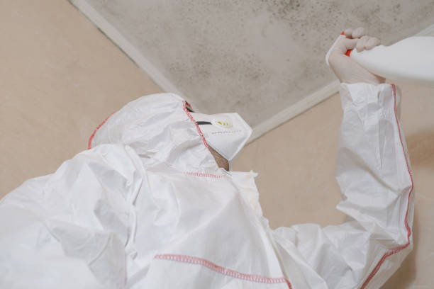 Certified Mold Removal in Mokuleia, HI